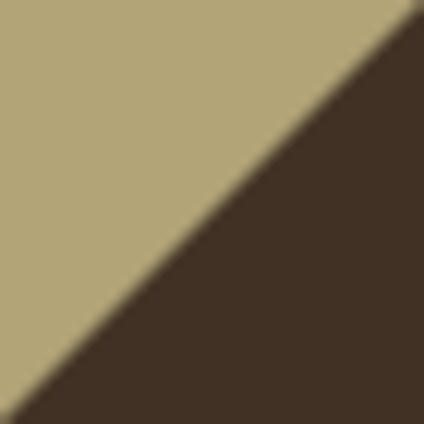 True Khaki/ Coffee