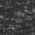 Black Heather