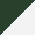 Forest Green/ White