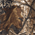 Realtree AP